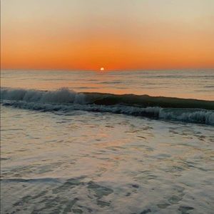 Meet your Posher, Lauryn